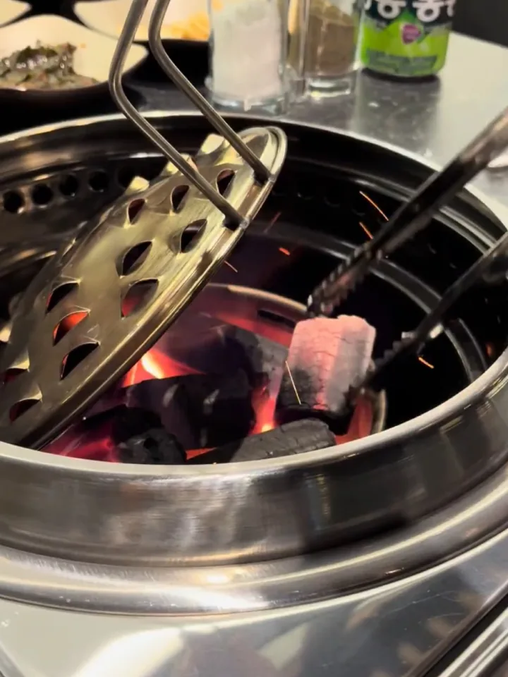 GOSANCHON — charcoal embers under the grill
